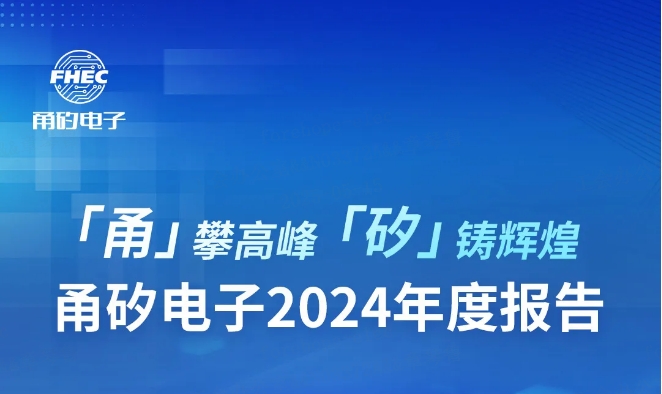 「甬」攀高峰，「矽」铸辉煌丨3118云顶电子2024年度报告